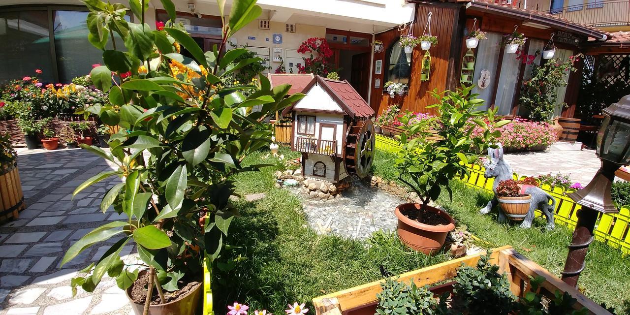 Flora Οχρίδα